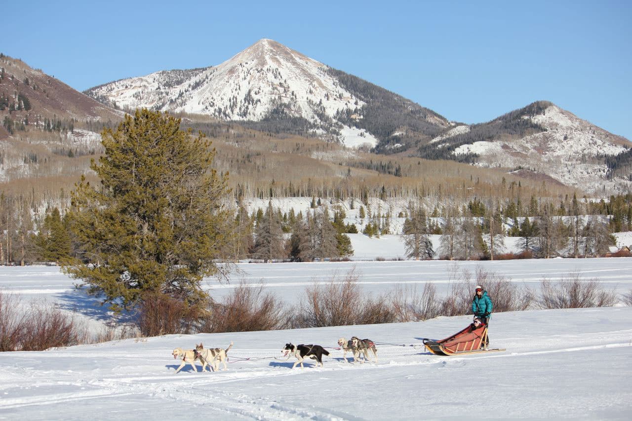 A team of five dogs excitedly pulls a sled with a driver and passenger through a snowy field near Steamboat Springs, Colorado. Snowy, forested mountains stand tall in the background.