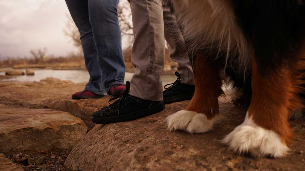 Focused on a patch of ground in Colorado, there are three sets of feet, including the front paws of a fluffy dog, a pair of black shoes and a pair of fuscia shoes.