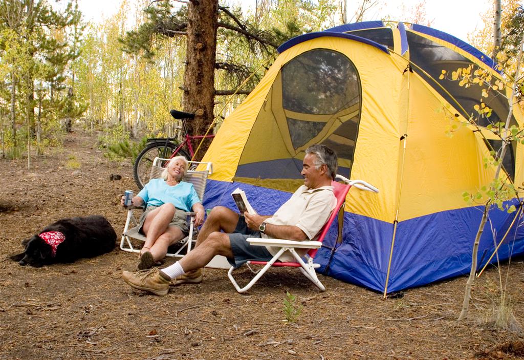 A couple sit and read in front of their yellow and blue tent in a dirt campsite beneath a gigantic tree