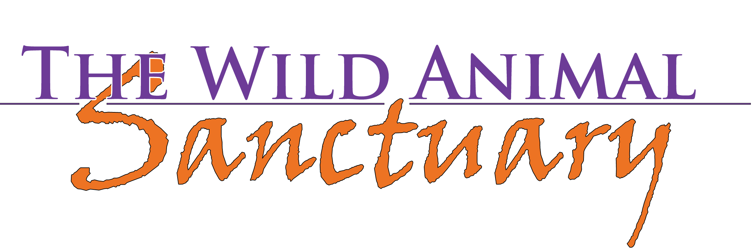 Wild Animal Sanctuary