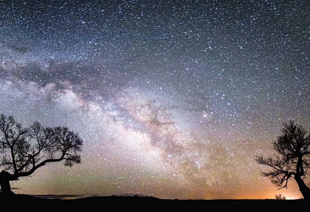 The night sky with sparkling stars. On the left and right of the image two trees are outlined.