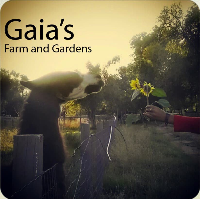 gaia's farm and gardens photo