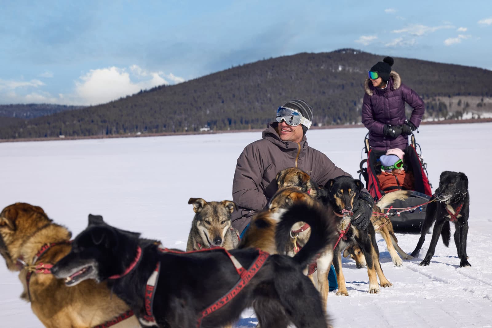 A team of sled dogs rest while their drivers catch their breath in a snowy landscape in Leadville
