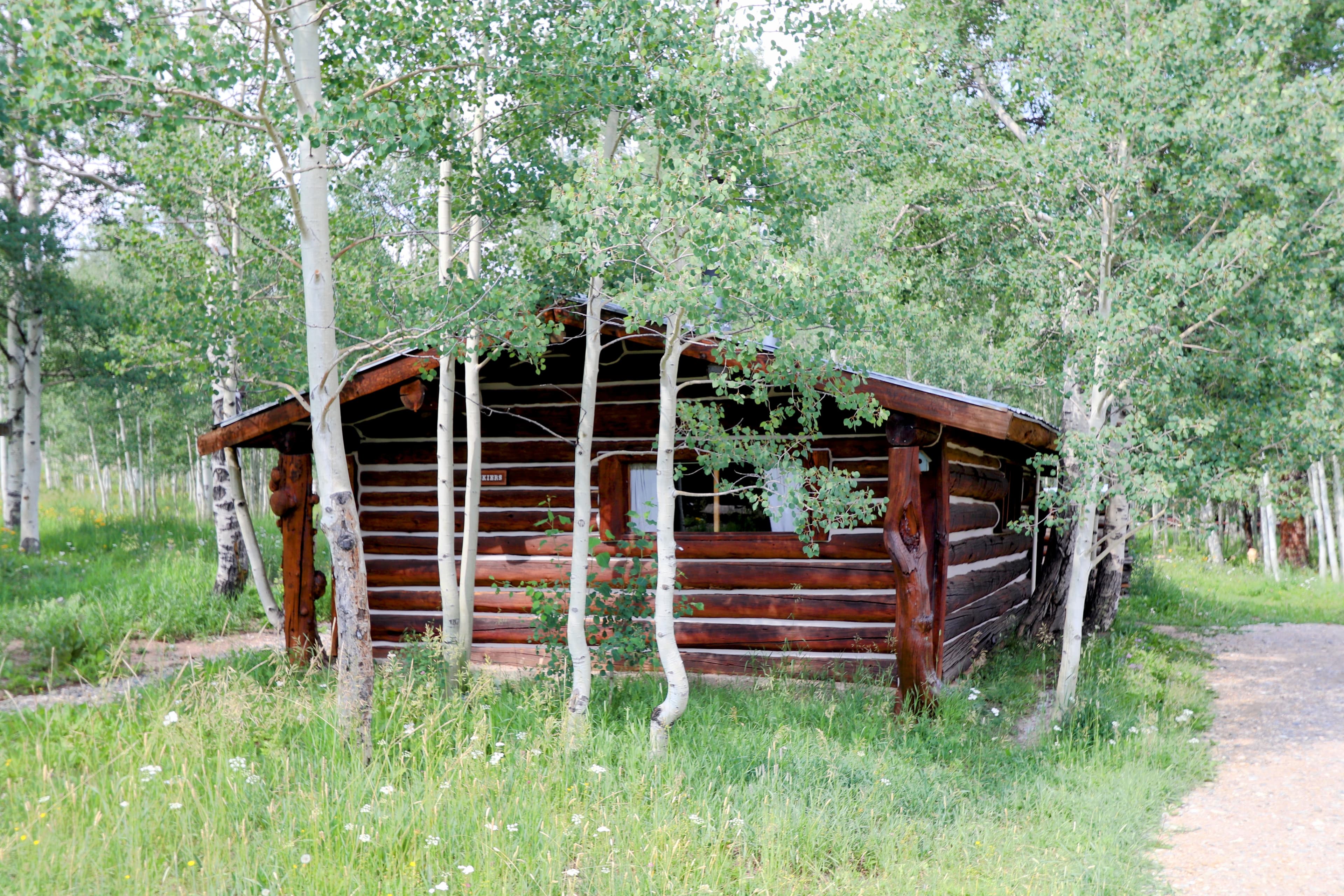 one of our 14 historic cabins photo