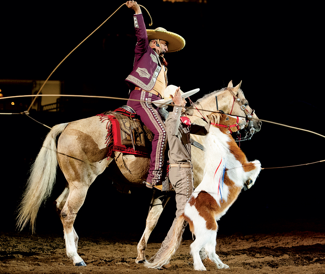 Two cowboys and horses at Mexican Rodeo Extravaganza at Denver's National Western Stock Show