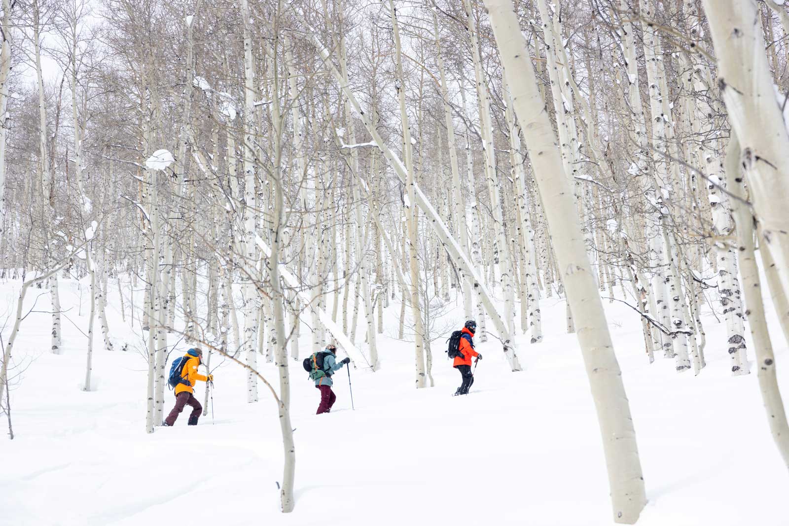 Three skiers in bright jackets stand out among snow covered trees