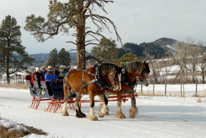 Two large horses lead a sleigh full of people on a snowy path in Pagosa Springs