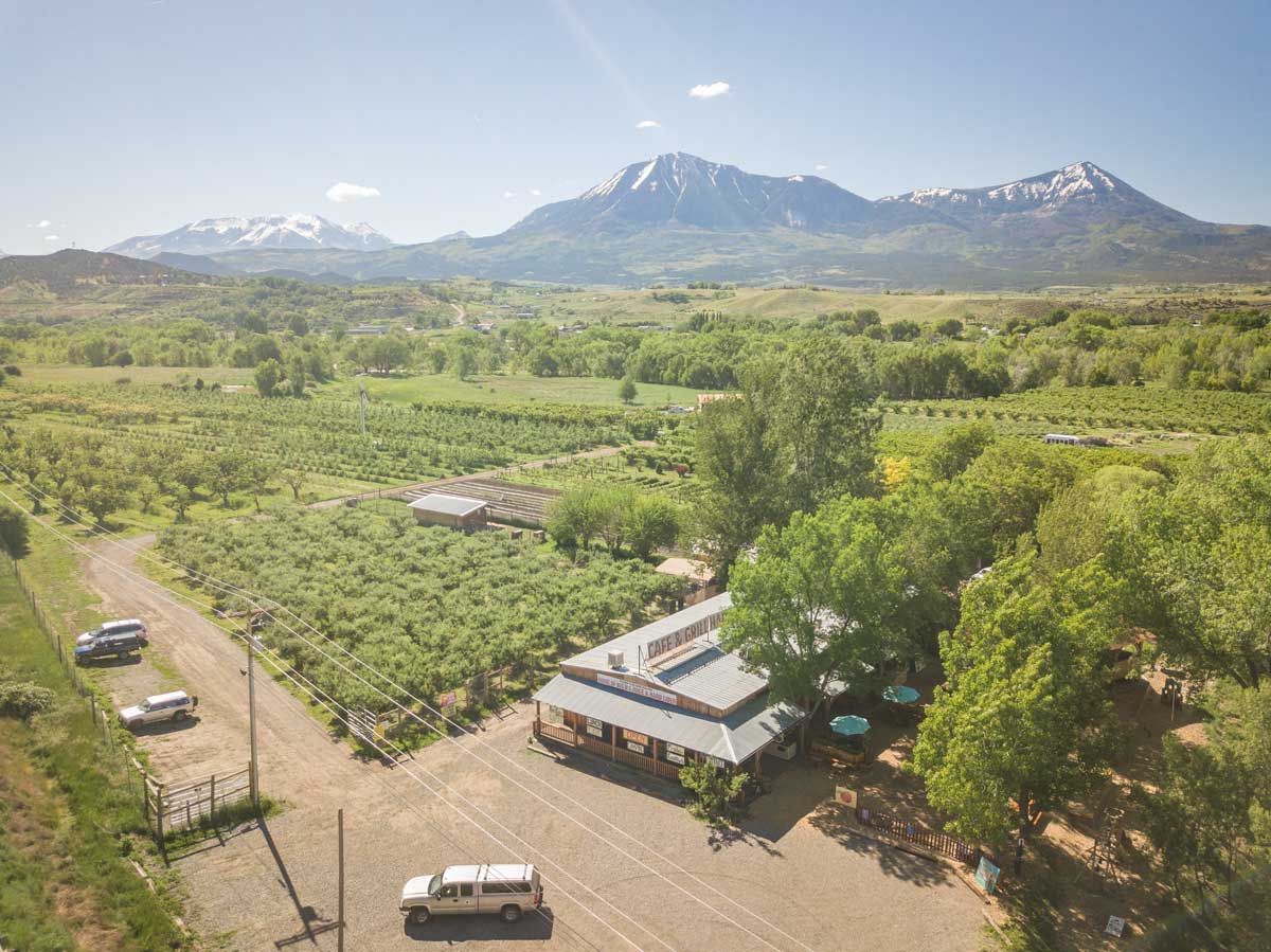 Big B's Delicious Orchards in Hotchkiss