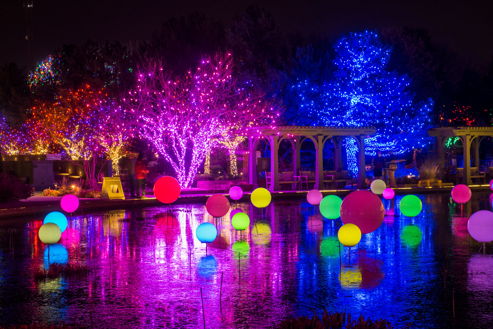 Blossoms of Light at Denver Botanic Gardens