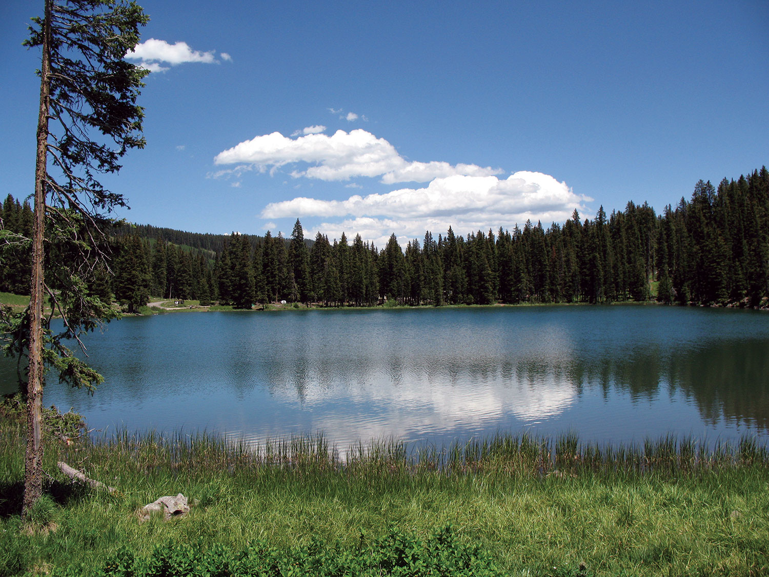 The bluebird sky and a few white, fluffy clouds are reflected in the surface of a massive lake near Cedaredge, Colorado.