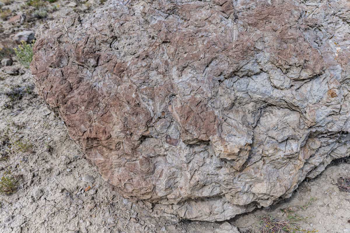 Fossil Ridge in Kremmling