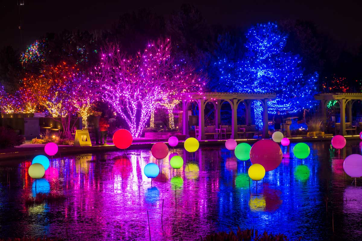 It's night at Denver Botanical Gardens in Colorado and the branches and trunks of trees are lit up with yellow, orange, pink and blue lights. On the nearby pond, balls different colored lights float above the surface.