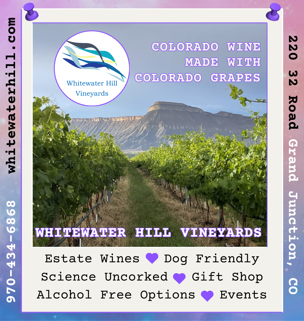 whitewater hill vineyards photo