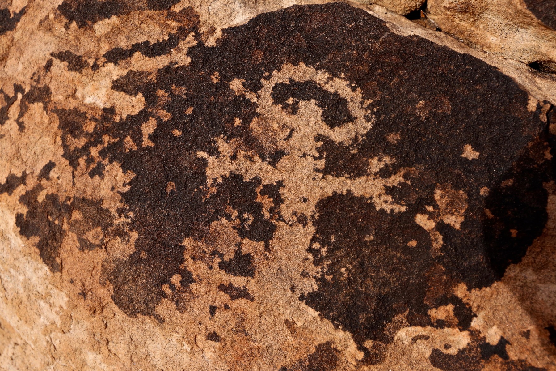 canyon of the ancients guest ranch photo 15