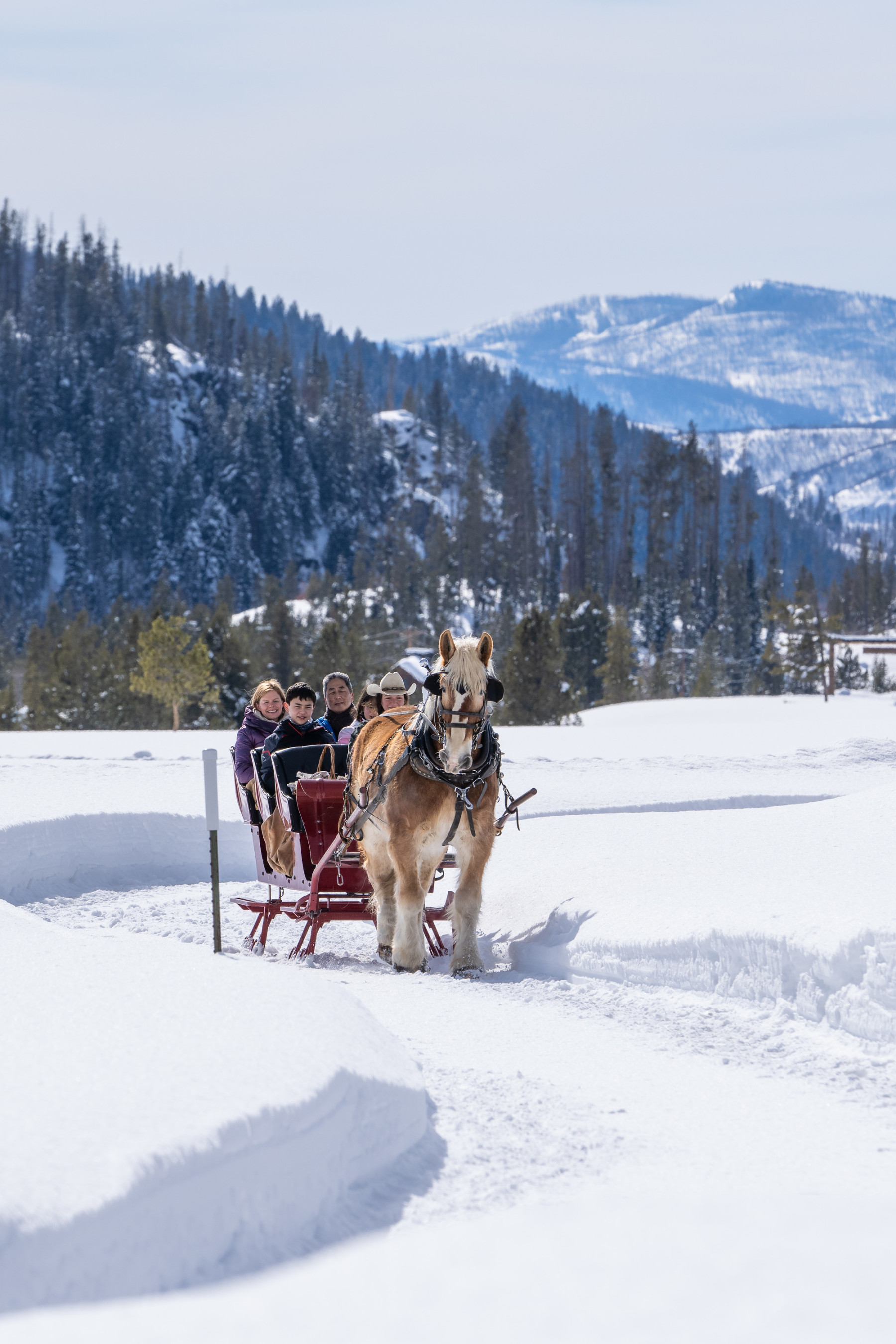 family sleigh ride photo 3