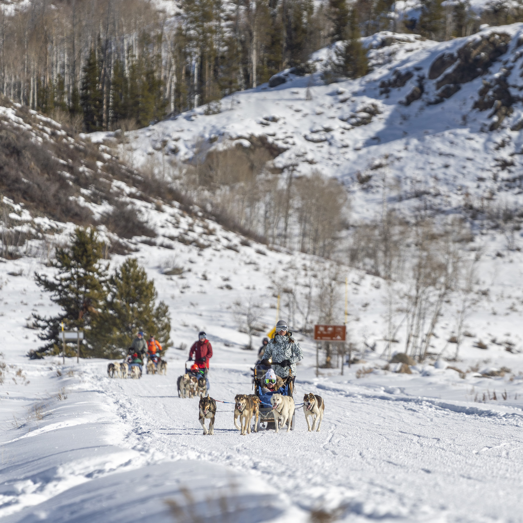 vista verde ranch photo 17